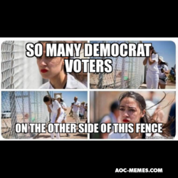 AoC Illegal alien voters meme