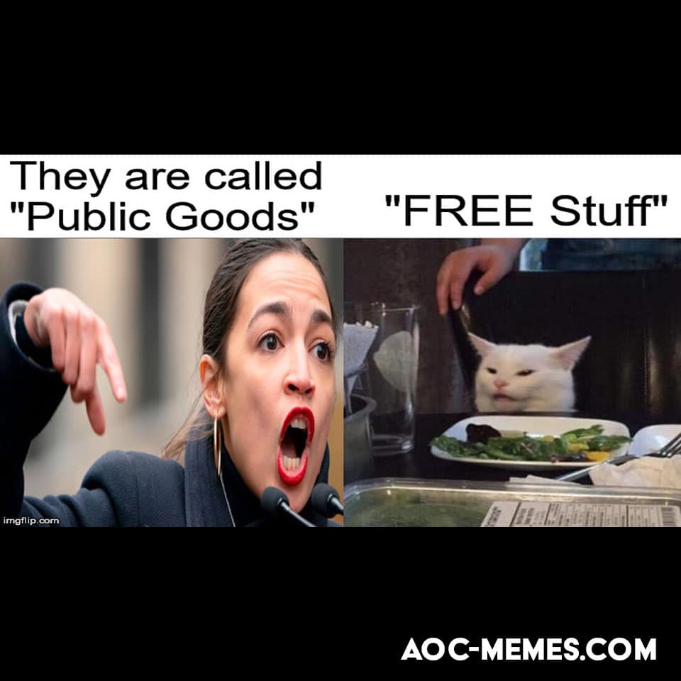 AoC Yelling at a cat about free stuff meme